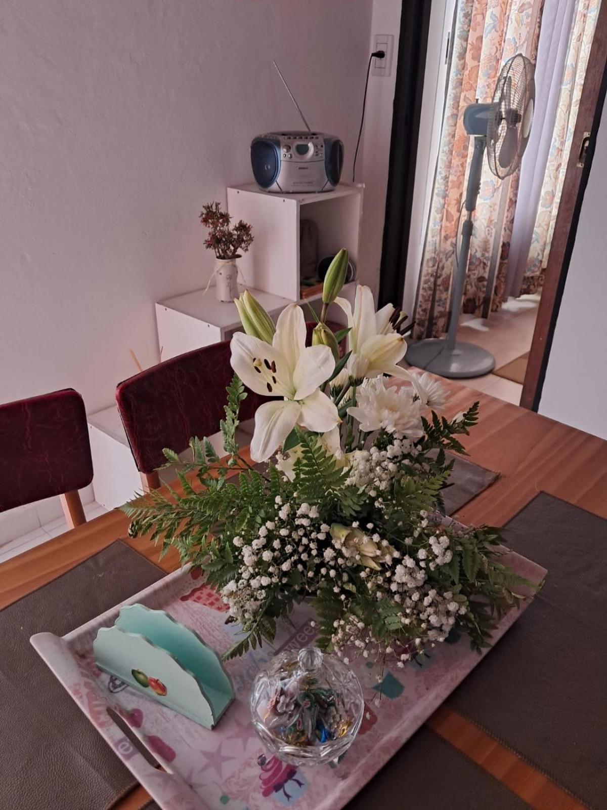Aleli Apartment Gualeguay
